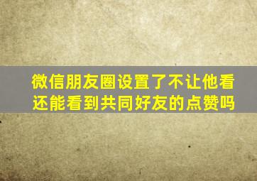 微信朋友圈设置了不让他看 还能看到共同好友的点赞吗